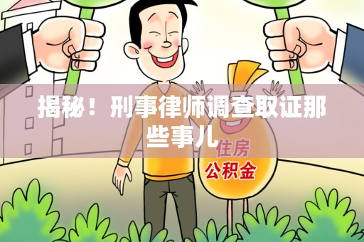 彭泽揭秘！刑事律师调查取证那些事儿